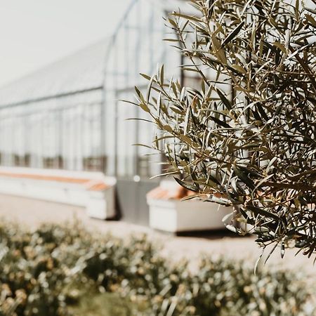 Vejro Resort Dış mekan fotoğraf